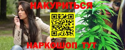 стаф Краснодар