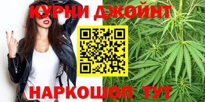 стаф Краснодар