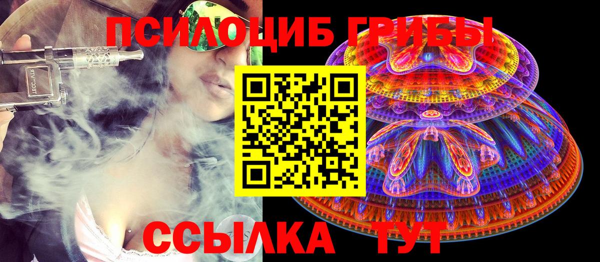 Псилоцибиновые грибы Psilocybine cubensis  Псилоцибиновые грибы ЛСД  Вход с VPN  Зерноград 