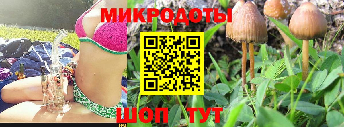 Псилоцибиновые грибы Cubensis Зерноград
